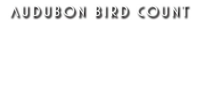 Audubon Bird Count